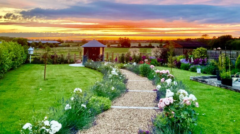 A gravel path through rose borders and lawn towards a garden gazebo at sunset.