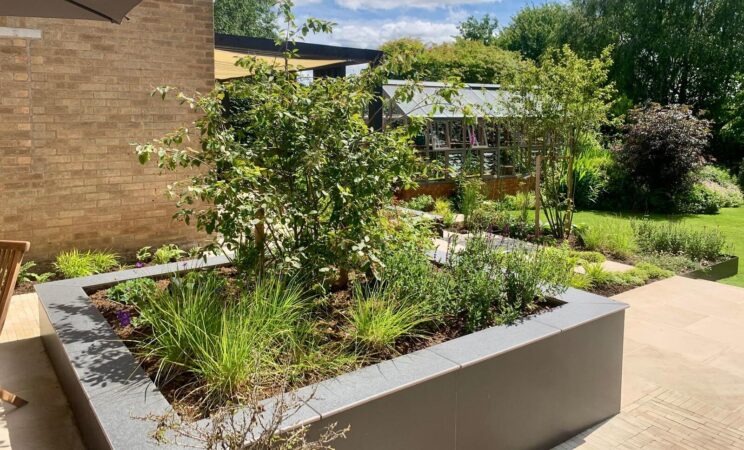 Porcelain patio with raised rendered planters and layered planting